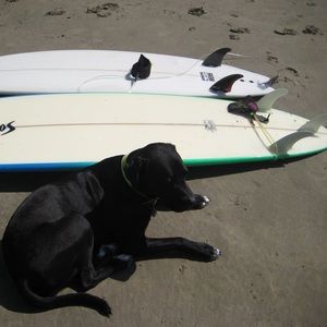 Meet your Posher, Laura